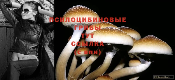 трава Алексин