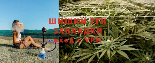 СК Алзамай
