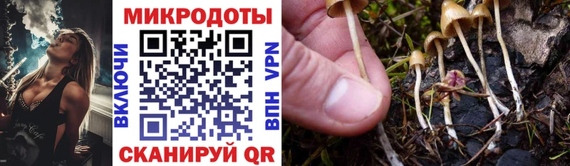 закладка  Одинцово  kraken tor  Галлюциногенные грибы GOLDEN TEACHER 